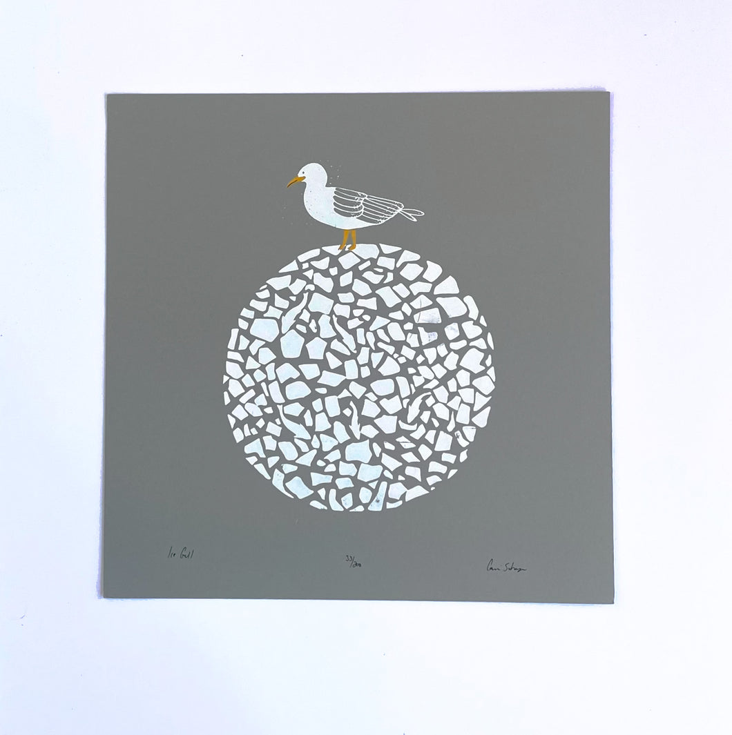 Ice Gull Silk Screen print 12